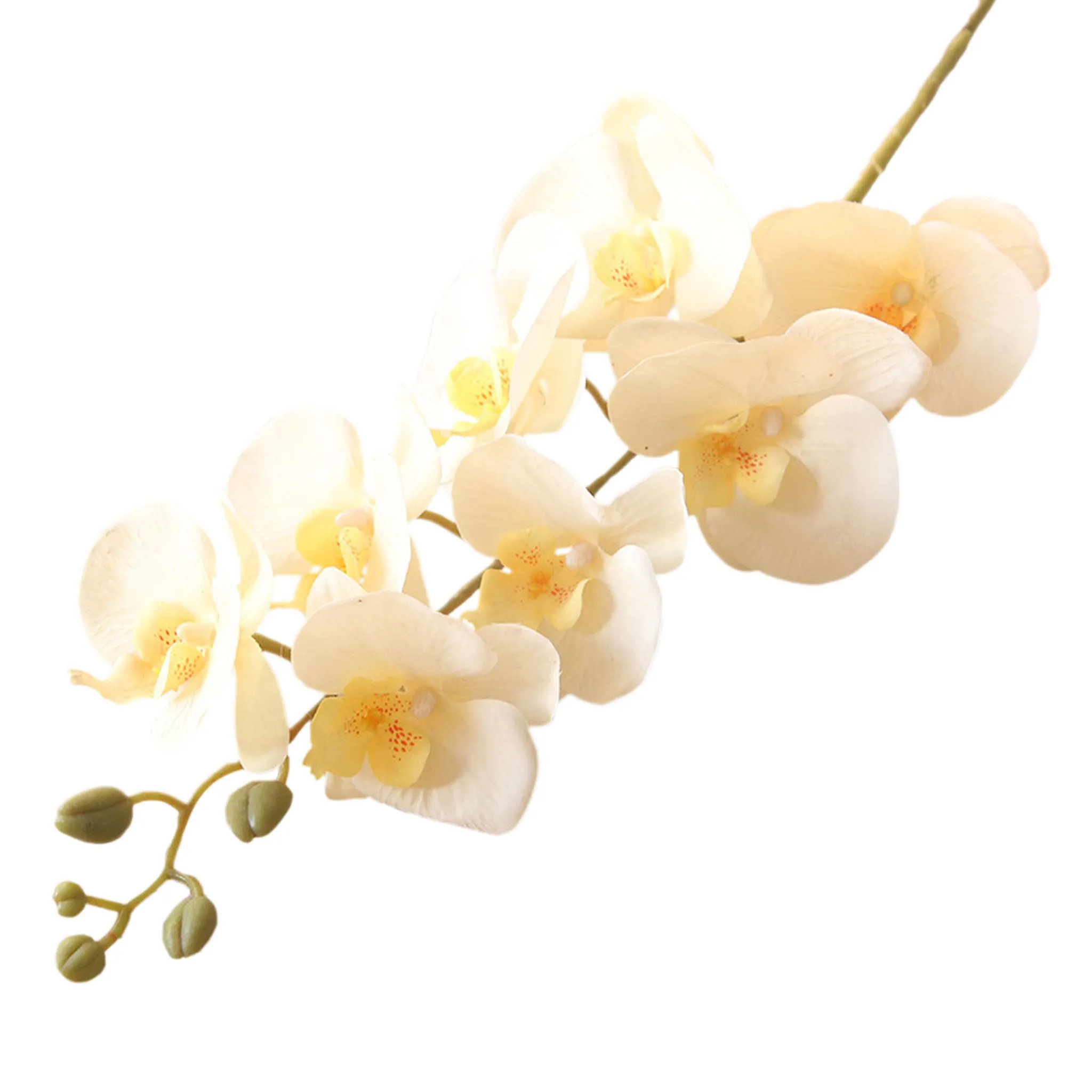 Artificial Orchid Flowers Realistic Phalaenopsis