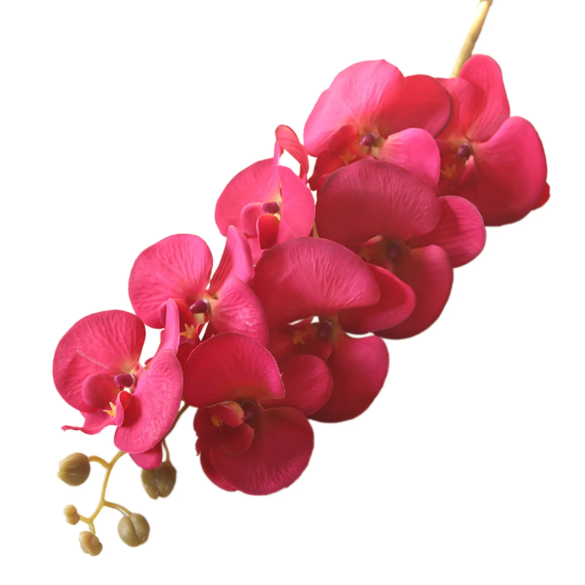 Artificial Orchid Flowers Realistic Phalaenopsis