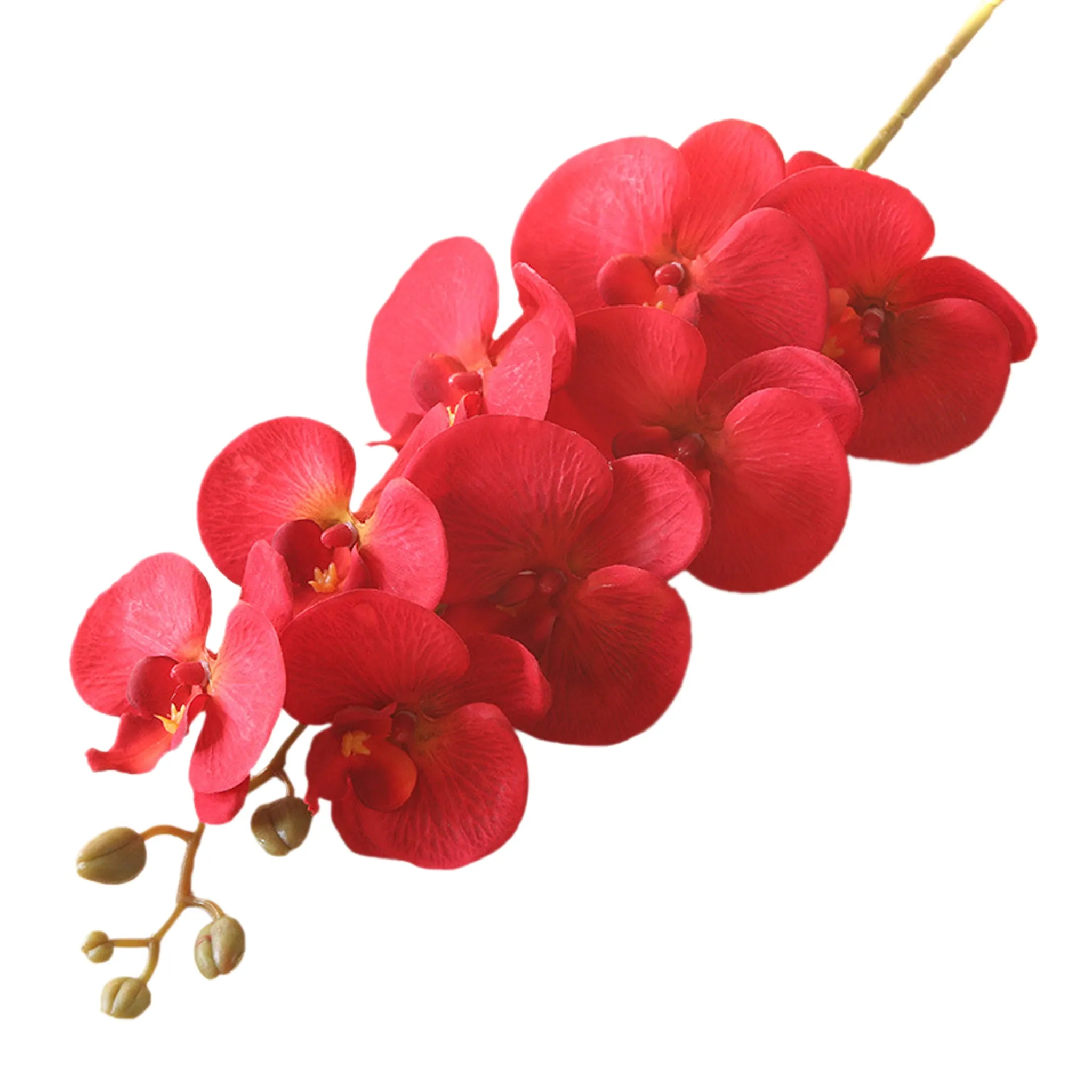 Artificial Orchid Flowers Realistic Phalaenopsis
