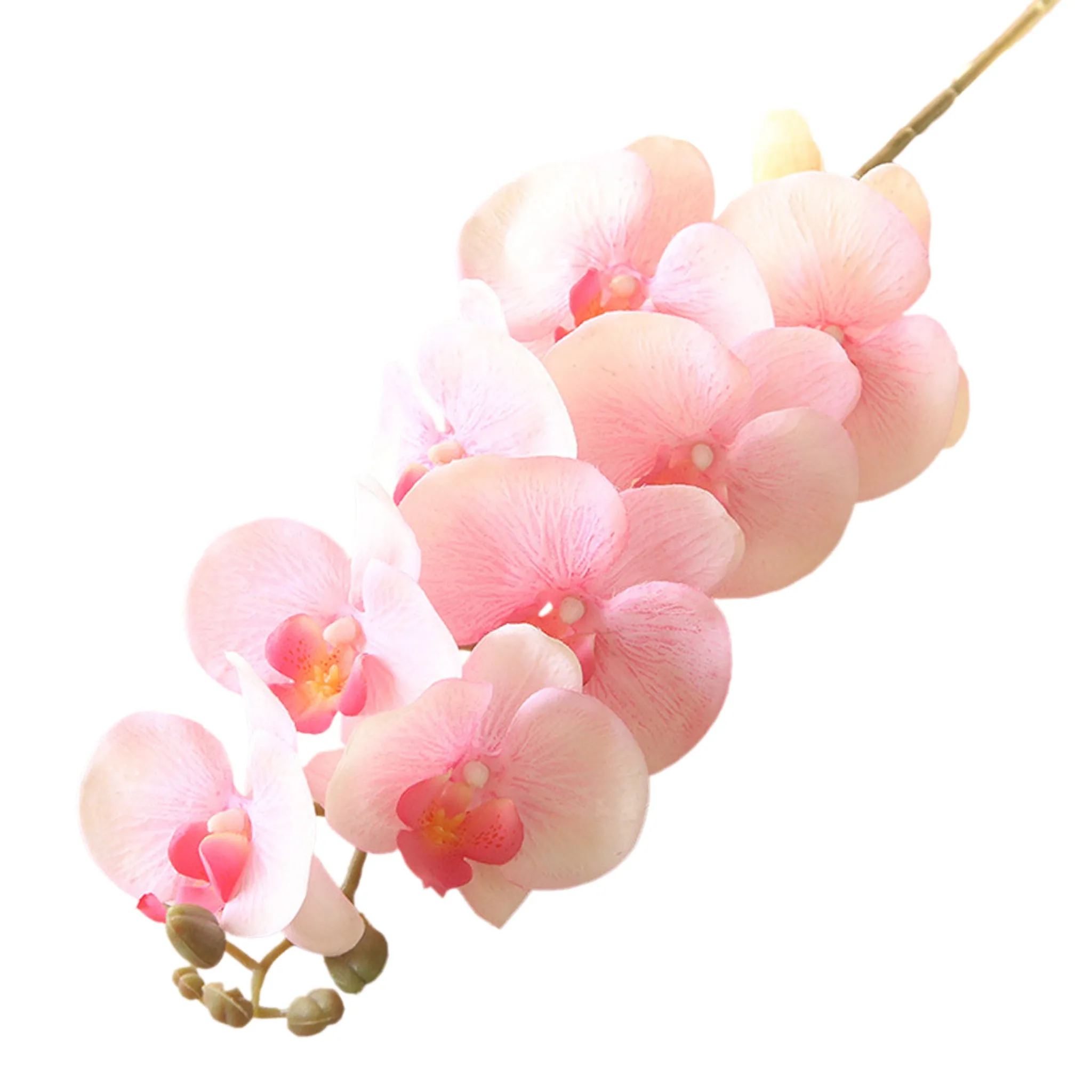Artificial Orchid Flowers Realistic Phalaenopsis