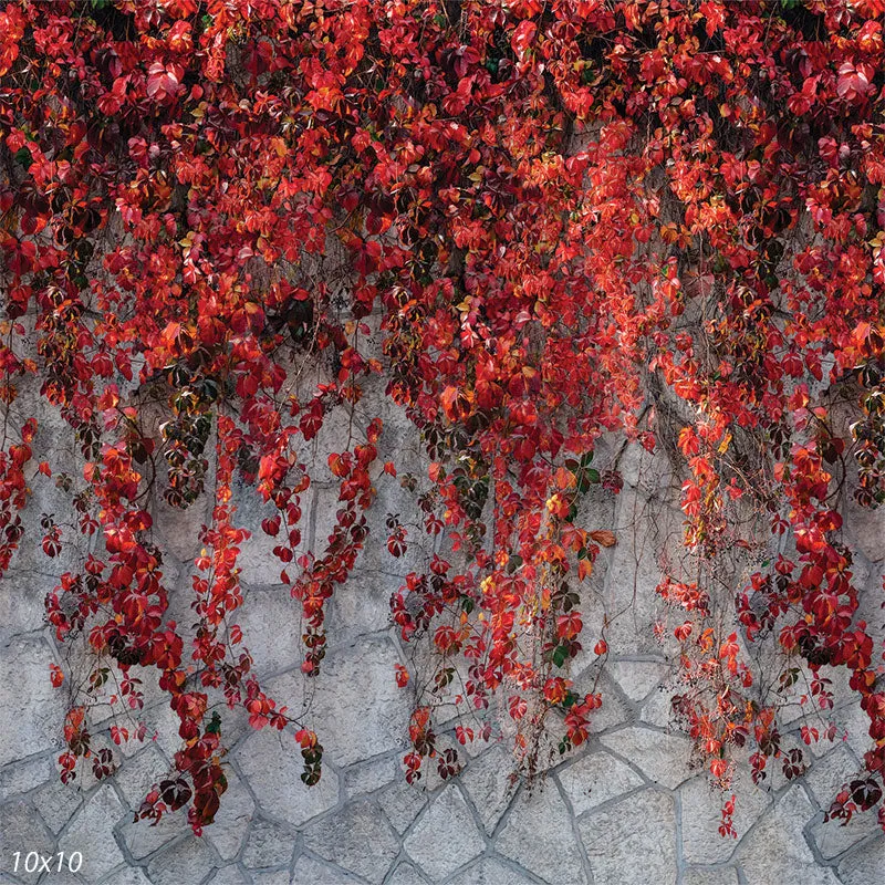 Autumn Wall Backdrop