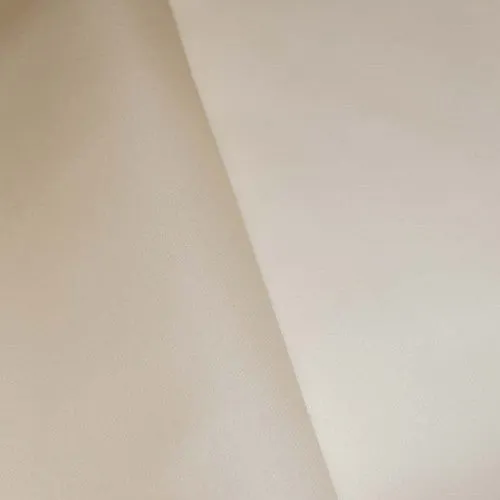 Dainty Beige Famous Designer Silk Organza Fabric