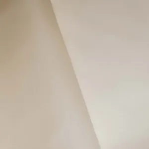 Dainty Beige Famous Designer Silk Organza Fabric