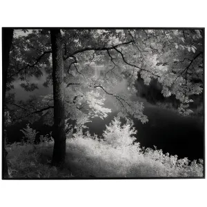 Four Hands Art Studio Summer Light by Getty Images