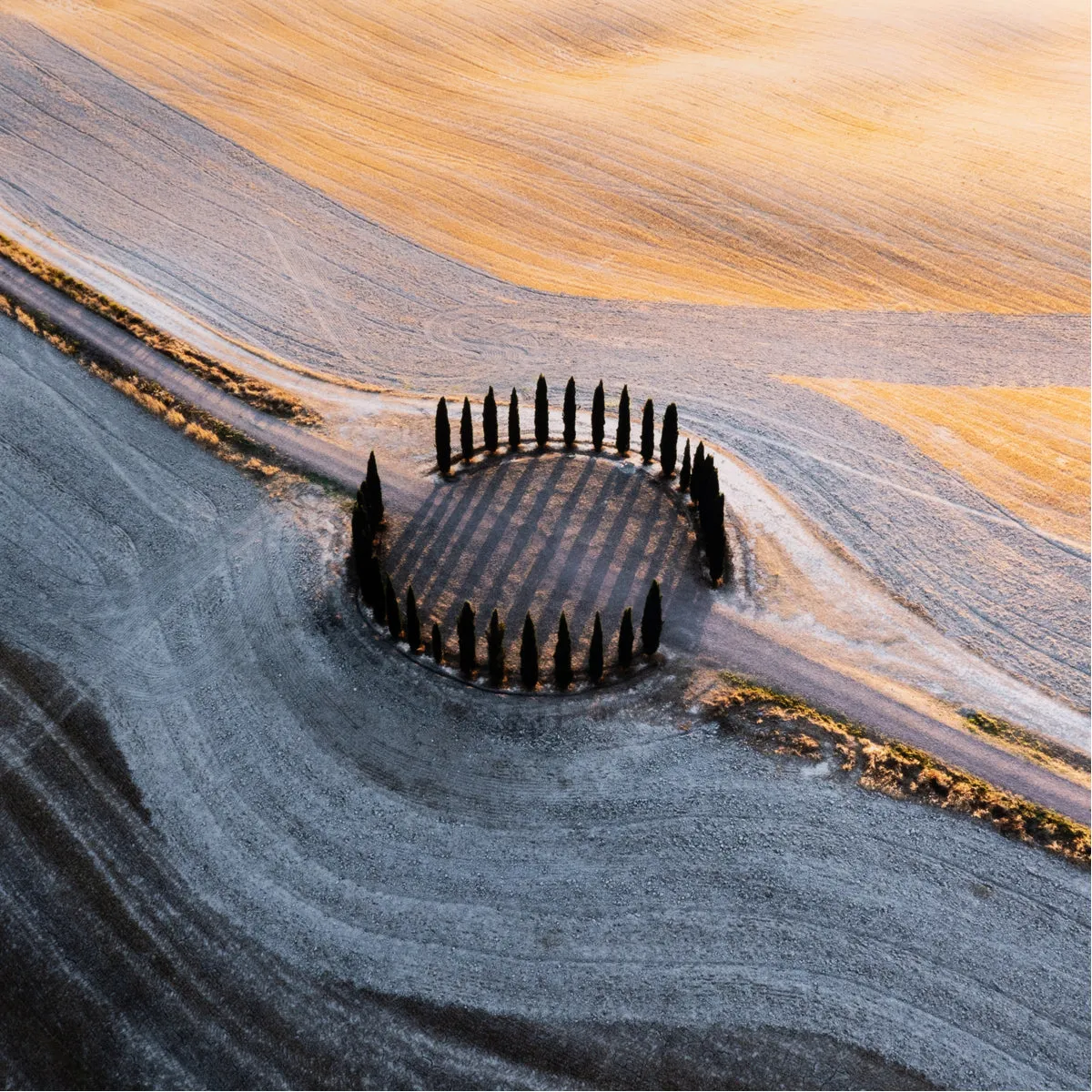 Four Hands Art Studio Synchronism By Getty Images
