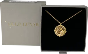 GCLD LUNAR Metallic Aquarius Engraved & Personalised Zodiac Star Sign Necklace One Size