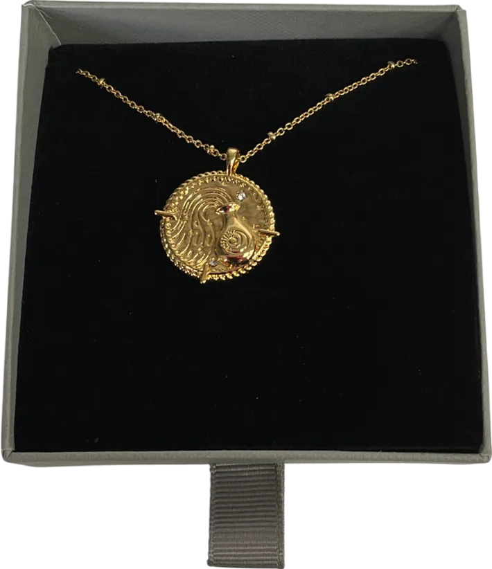 GCLD LUNAR Metallic Aquarius Engraved & Personalised Zodiac Star Sign Necklace One Size