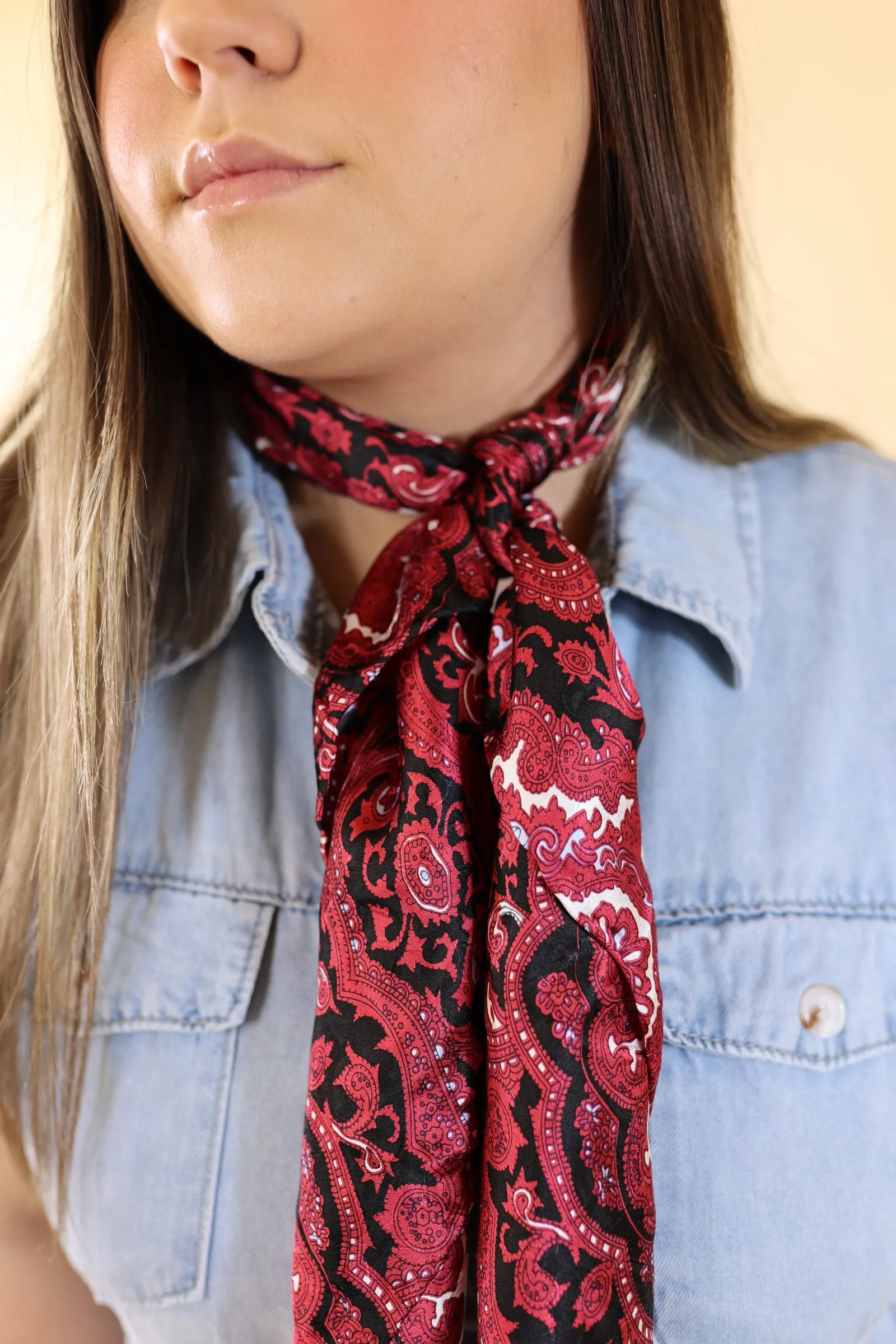 Paisley Silk Wild Rag in Red and Black