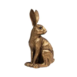 Reflections Bronze Hare Sitting