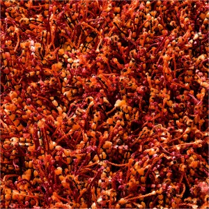 Sprinkle Area Rug - Orange