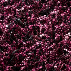Sprinkle Area Rug - Purple